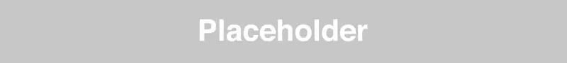 Long Placeholder